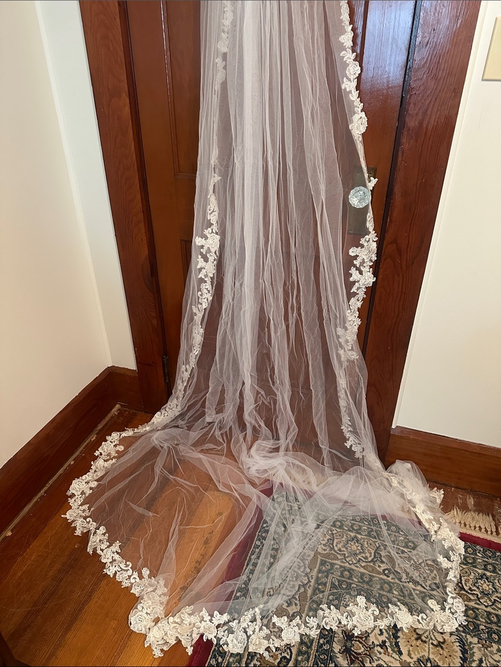 David's Bridal Ivory Lace-Trim Cathedral Veil